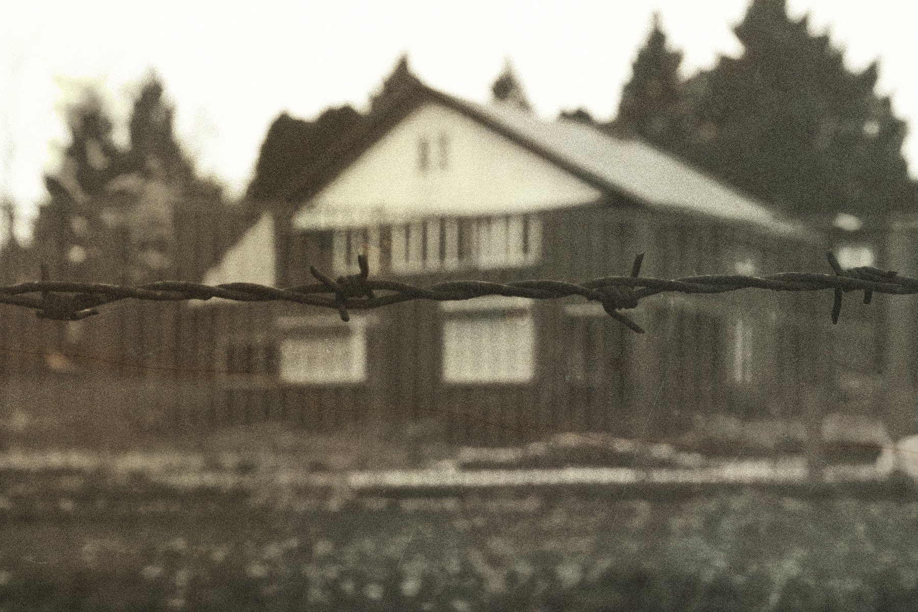 Revisit - photo 1